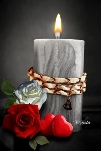 Combien de branches possède le candelabre ?