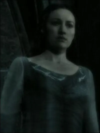 Ton personnage préféré de ''Harry Potter'' est :