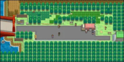 Quel Pokémon pouvons-nous trouver dans la Route 5 de Unys ?