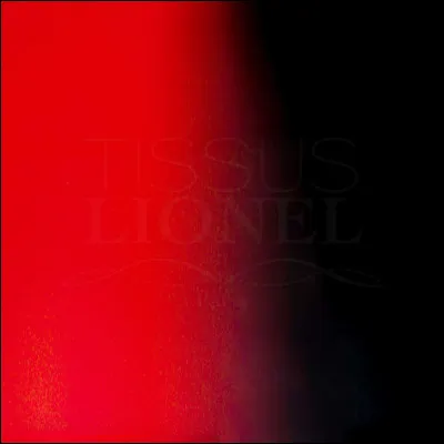 Pour qui la Place rouge était vide ?