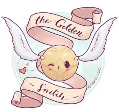 Ton objet favori dans ''Harry Potter'', c'est...