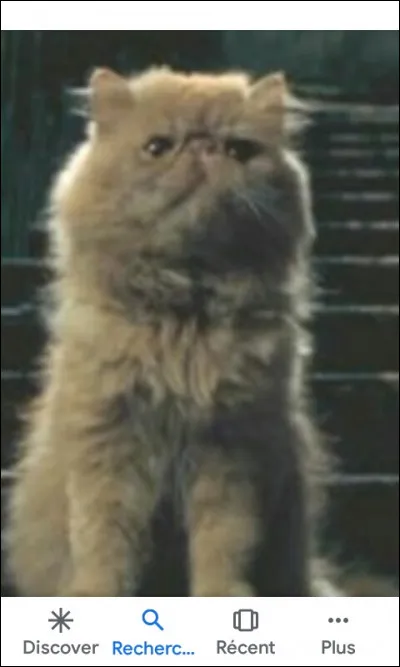 Que veut dire la devise de Poudlard "Draco Dormiens Nunquam Titillandus" ?