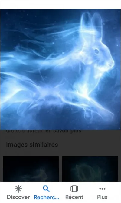 Comment est le Patronus d'Hermione ?