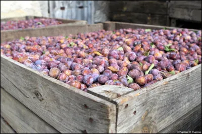 De quel auteur Béatrice est-elle une héroïne ?