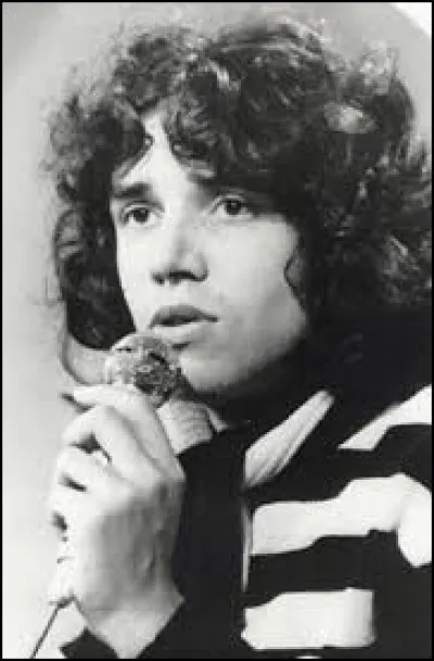 ''Laissons entrer le soleil'' est la version française ''Let the Sunshine In'' chantée par Julien Clerc. Dans quelle comédie musicale peut-on l'entendre ?