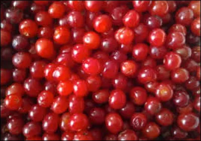 Que veut dire "s'en soucier comme d'une guigne" ?