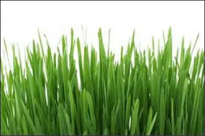 Que veut dire "couper l'herbe sous le pied" ?