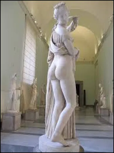 Le groupe Shocking Blue sort ''Venus''. Cette pièce (voir photo) est une des plus belles du musée archéologique de Naples. Ce type de statue est appelé Vénus callipyge. Que signifie cet adjectif qualifiant la déesse ?