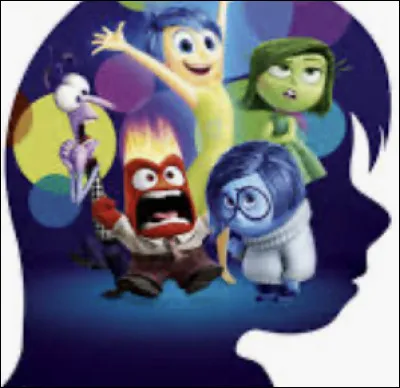 Quelle est l'émotion qui vous caractérise ?