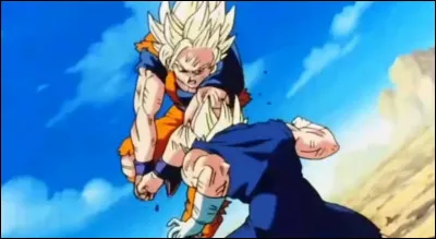 Aimes-tu les combats ?