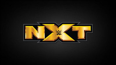 Quelles sont les couleurs du logo NXT ?