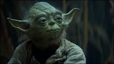 Quel âge a Maître Yoda ?