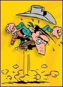 Quel est ce bandit nerv ?