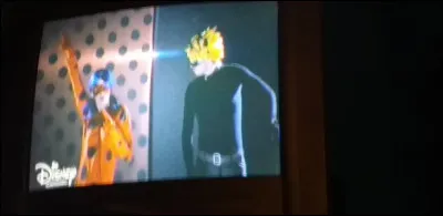 Qu'est-ce que Chat Noir offre à Ladybug ?