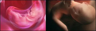 La photo est réussie. Que suis-je en train de faire à droite ?