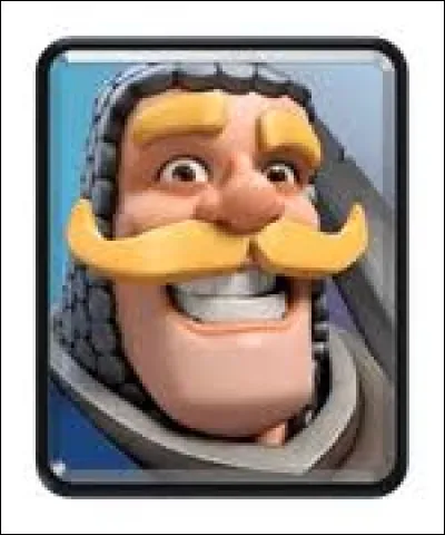 Ce chevalier à grosses moustaches s'appelle :