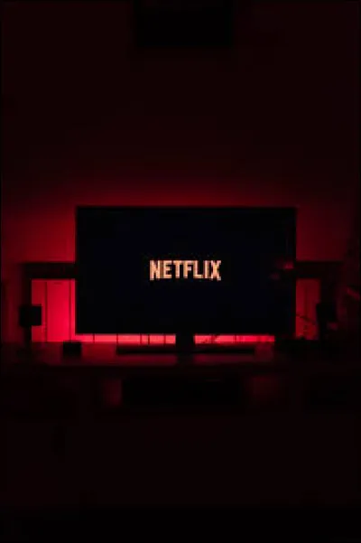 Dans quelle série peut-on retrouver les Vixens ?