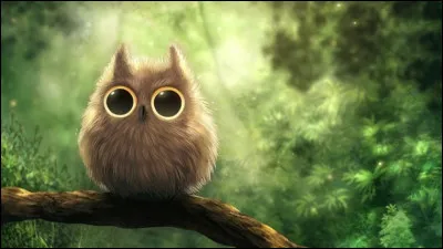 Quel rapace, ne pouvant point bouger les yeux, se doit de tourner sa tête jusqu'à un certain angle ?