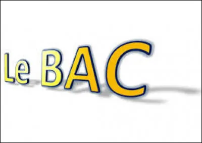 Quel bac veux-tu faire ?