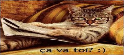 Un point d'actualité et une mise en perspective sociale... en chiffres.
Une manifestation du mois de décembre avait rassemblé 1 million de personnes mobilisées - selon les chiffres officiels, mais dépassant 2 millions selon les organisateurs - pour une convergence de lutte.
Laquelle ?