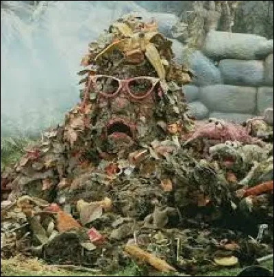 Immondices : ordures ménagères, débris de toutes sortes.
Quel est le genre de ce mot ?