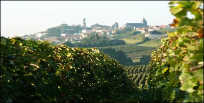 Ce village de 700 habitants, situ&eacute; sur le flanc sud de la Montagne de Reims, c'est ...