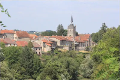 Ce village de 140 habitants, dans l'extr&ecirc;me sud du d&eacute;partement des Vosges et de la Lorraine, aux limites de la Haute-Marne et de la Haute-Sa&ocirc;ne, c'est ...