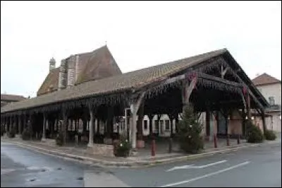Cette petite ville des Dombes de pr&egrave;s de 5000 habitants, dans le d&eacute;partement de l'Ain, poss&egrave;de de belles halles du XVIIe si&egrave;cle ; c'est ...