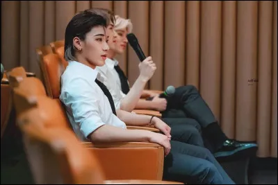 Tu te considères comme une...