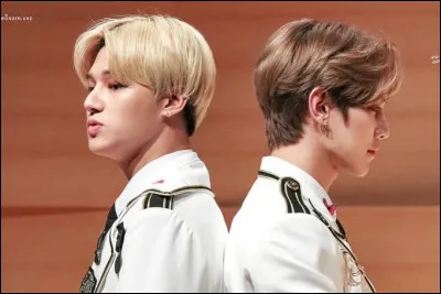 Comment vois-tu les ships dans ATEEZ ?