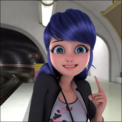 De qui est amoureuse Marinette ?