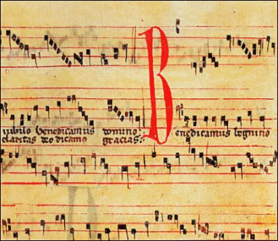 Qu'avez-vous, sous vos yeux ébahis ? Des neumes, bien sûr ! Mais qu'est-ce à dire ?