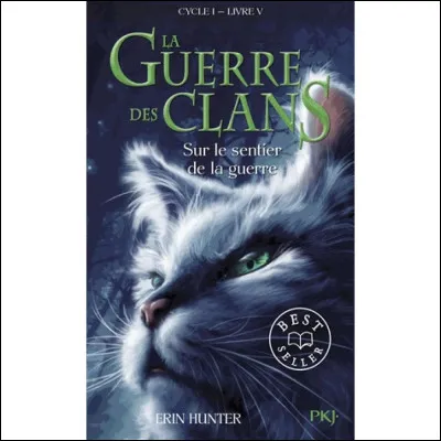 J'étais un apprenti du clan du Tonnerre, mais à cause de Griffe de Tigre, je suis solitaire.
Qui suis-je ?