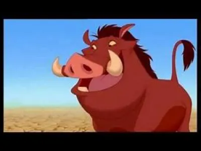 Qui est le meilleur ami de Pumba ?