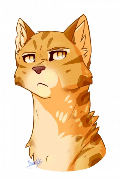 Imaginons : tu es un apprenti dans ''La Guerre des clans''. 
Tu n'es pas doué au combat, alors que ta sur est très forte au combat. Que fais-tu ?