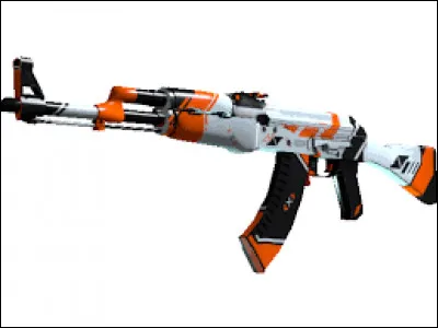 Quel est le nom de ce skin ?