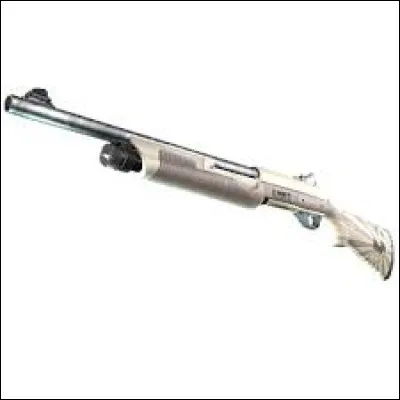 Combien coûte ce skin ?