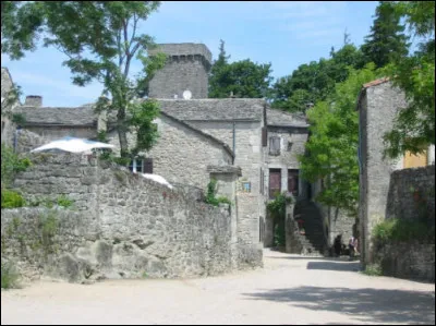 Perdu en plein Larzac, je suis un village Templier enti&egrave;rement fortifi&eacute;. Mes toits de lauze et ma qui&eacute;tude font mon charme.Toutes mes maisons sont en vieilles pierres. Je m'appelle :