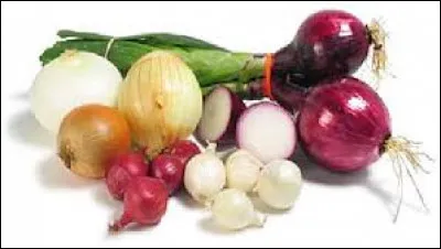 Au milieu de tous ces Alliacées, quel est l'intrus ?