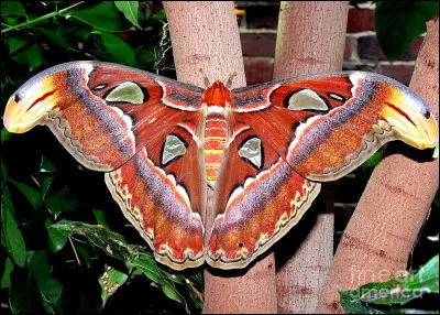 Enfer, dans le langage biblique !