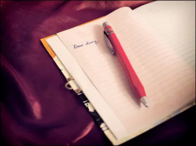 À quoi correspond l'image ?