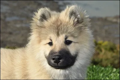 Tu vois un arc-en-ciel, que fais-tu ?