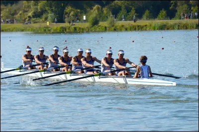 Sur quel fleuve fut organisée la plus vieille course d'aviron au monde ?
