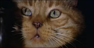Ellen Ripley arrive-t-elle à sauver le chat ?