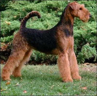 Quelques questions pièges...