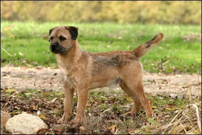 Sauras-tu retrouver son nom parmi les propositions ?