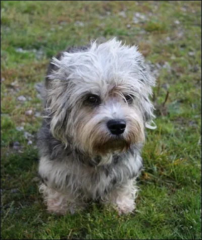 Voilà une petite fripouille ! Où est son nom ?