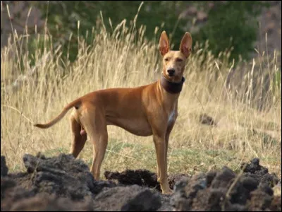 Et lui, quel est-il ?