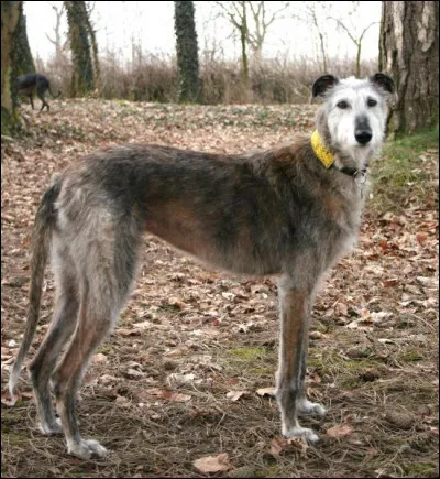 Comment s'appelle-t-il ?