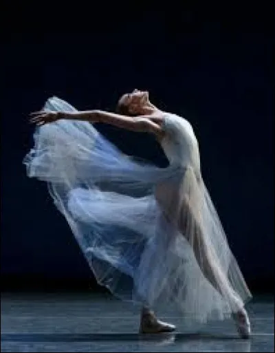 Comment s'appelle le/la chorégraphe de Michael ?